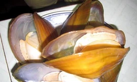 Ảnh minh họa: Internet