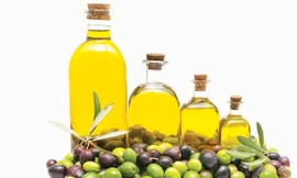 Ảnh minh họa: Internet