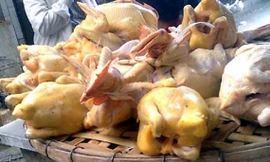 Ảnh minh họa: Internet