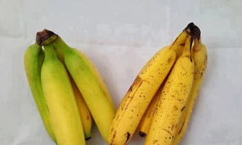 Quả chuối chín ép bằng hóa chất thì thân chín vàng đều, đẹp nhưng cuống và ngọn vẫn có màu xanh. Chuối chín tự nhiên sẽ chín từ cuống (ảnh minh họa)