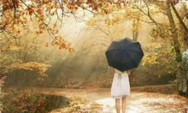 Ảnh minh họa: Internet