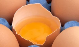 Ảnh minh họa: Internet