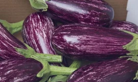 Ảnh minh họa: Internet