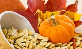 Ảnh minh họa: Internet