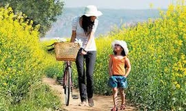 Ảnh minh họa: internet