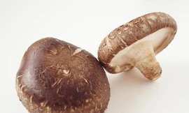 Ảnh minh họa: Internet