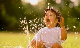 Ảnh minh họa: Internet