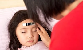 Ảnh minh họa: Internet