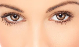 Ảnh minh họa: Internet