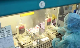 Ngân hàng tế bào gốc máu dây rốn cộng đồng - Ảnh: Dương Ngọc