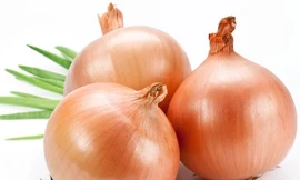 Ảnh minh họa: Internet