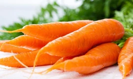 Ảnh minh họa: Internet