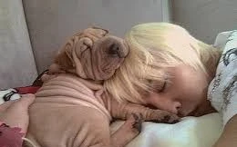 Ảnh minh họa: Internet