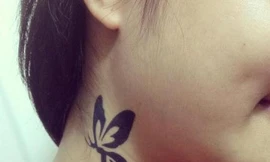 Ảnh minh họa: Tổ Ấm Việt.