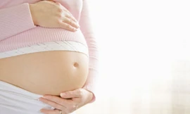 Ảnh minh họa: Internet