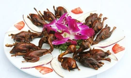 Ảnh minh họa: Internet