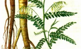 Ảnh minh họa: Internet