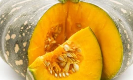 Ảnh minh họa: Internet