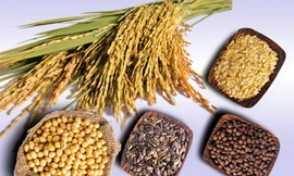 Ảnh minh họa: Internet