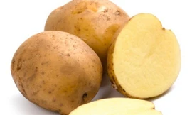 Ảnh minh họa: Intenet