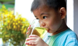 Ảnh minh họa: Internet