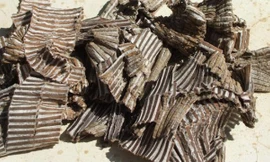 Ảnh minh họa: Internet