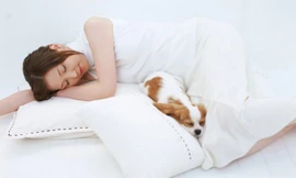 Ảnh minh họa: Internet