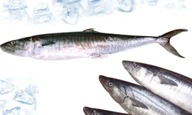 Ảnh minh họa: Internet