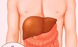 Nang gan có nguy hiểm?