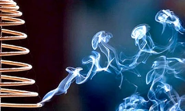 Ảnh minh họa: Internet