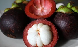 Ảnh minh họa: Internet