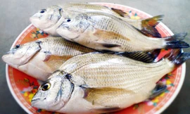 Ảnh minh họa: Internet