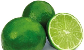 Ảnh minh họa: Internet