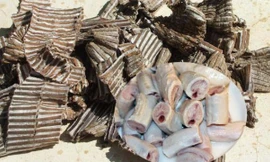 Ảnh minh họa: Internet