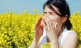 Ảnh minh họa: Internet