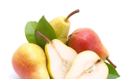 Ảnh minh họa: Internet