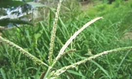 Ảnh minh họa: Internet