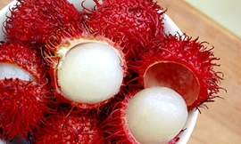 Ảnh minh họa: Internet