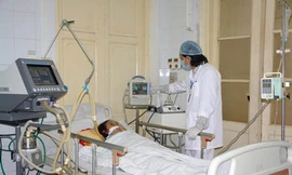 Ảnh minh họa: Internet