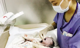 Ảnh minh họa: Internet