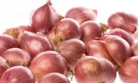 Ảnh minh họa: Internet