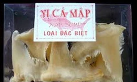 Ảnh minh họa: Internet