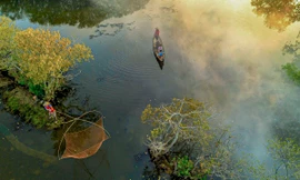 Đẹp mê mẩn 'tấm áo mới' khu rừng Rú Chá mộng mơ