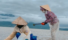 Nhọc nhằn mưu sinh trên đầm Lập An ngày sát Tết