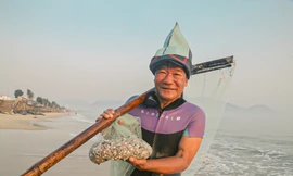 Ngư dân ngâm mình trong nước 8 tiếng săn 'lộc trời', kiếm tiền triệu mỗi ngày