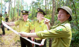 Đà Nẵng tăng cường phòng cháy rừng giữa cao điểm nắng nóng