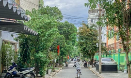 Đà Nẵng chi hàng trăm tỷ đồng nâng cấp, mở rộng đường trên địa bàn quận ven biển 