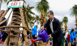 Hàng trăm người đội mưa tham gia Tết trồng cây xuân Ất Tỵ 2025 ven biển Đà Nẵng