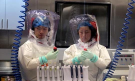 Trung Quốc phản bác thông tin nCoV lọt từ phòng thí nghiệm