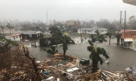 Sức tàn phá mạnh mẽ của cơn bão.